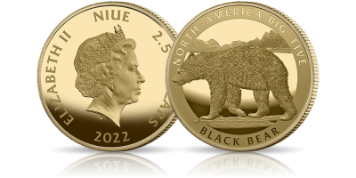 Niedźwiedź czarny na monecie wybitej w czystym złocie