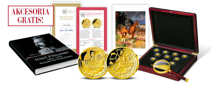 ping_2511_lp_akcesoria