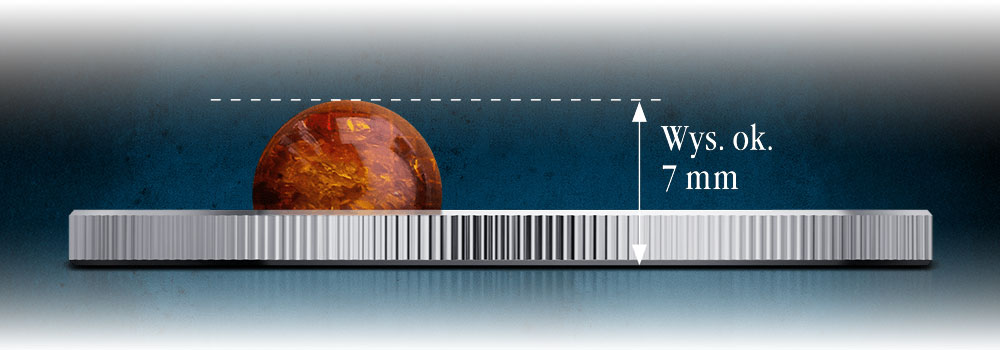 srebrna-moneta-bursztyn-lp-detal