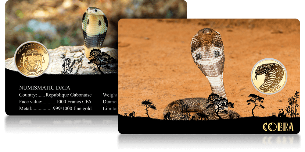 Blister kolekcjonerski w komplecie.