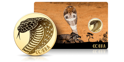 Kobra - moneta wykonana z czystego złota 