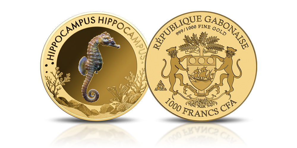Hippocampus hippocampus na złotej monecie.