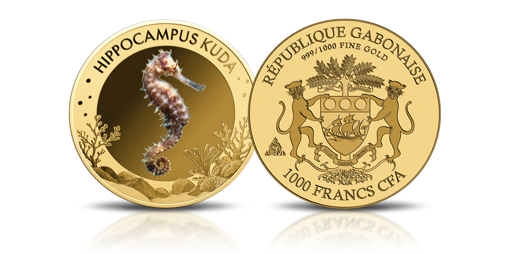 Hippocampus kuda na złotej monecie.