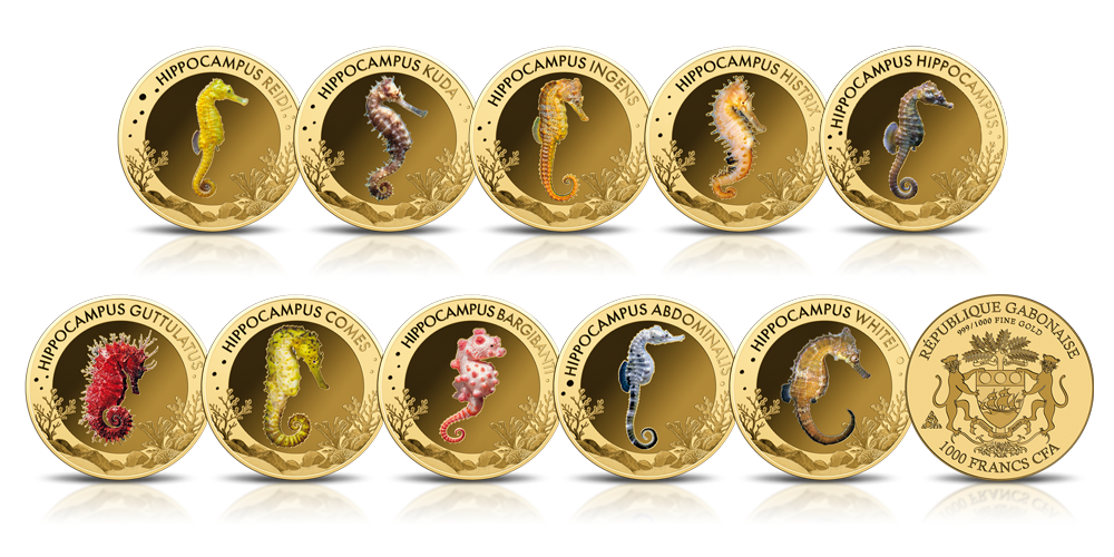 Koniki morskie a 10 złotych monetach.
