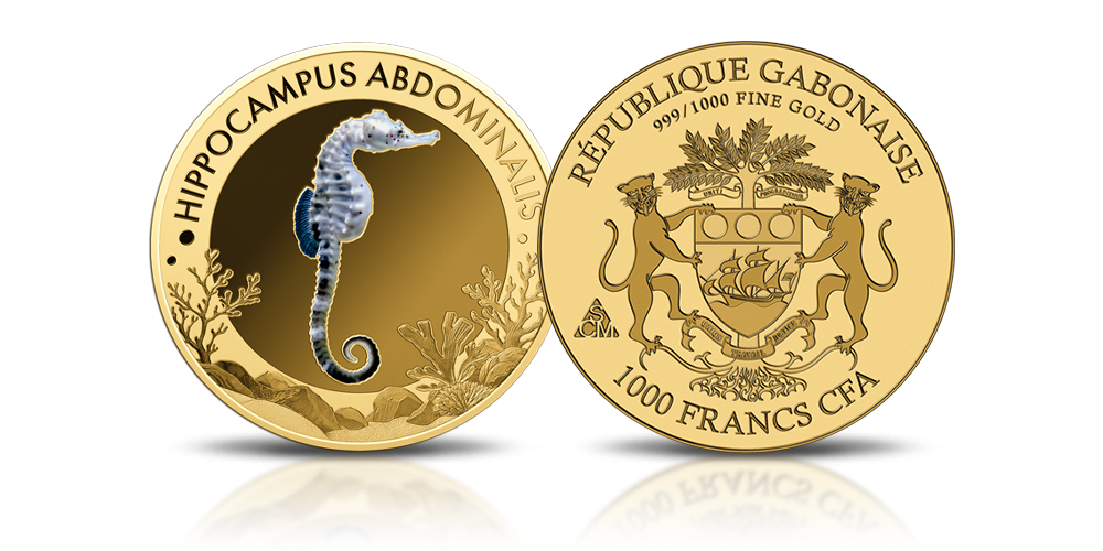 Hippocampus abdominalis na złotej monecie.