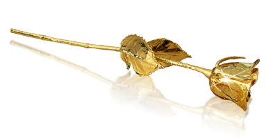 Prawdziwa róża uszlachetniona czystym złotem