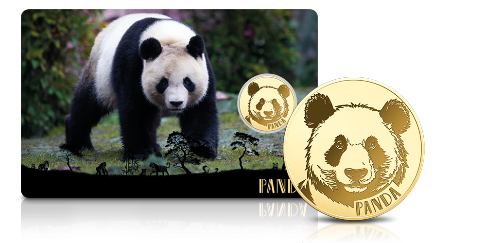 Panda na złotej monecie.