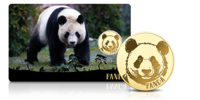 Panda na monecie wykonanej z czystego złota 