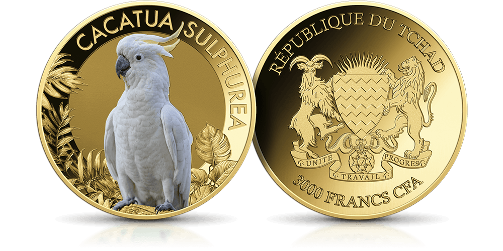 Cacatua sulphurea na złotej monecie.