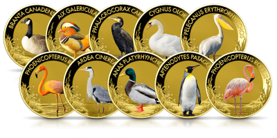 Ptaki wodne - zestaw 10 złotych monet  
