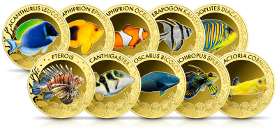 Ryby rafy koralowej - zestaw 10 złotych monet  