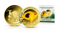 Amfiprion złoty na złotej monecie.