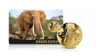 Słoń afrykański na złotej monecie.