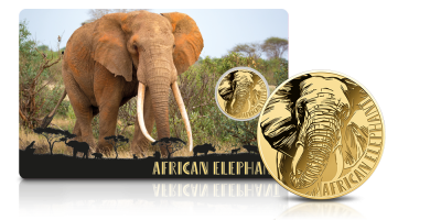 Słoń afrykański - moneta wykonana z czystego złota 