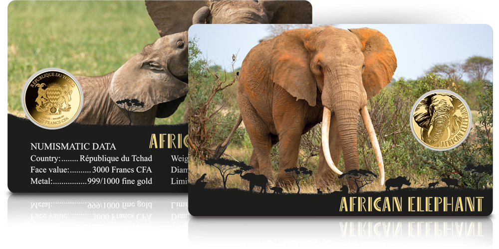 Blister kolekcjonerski ze specyfikacją monety w komplecie.