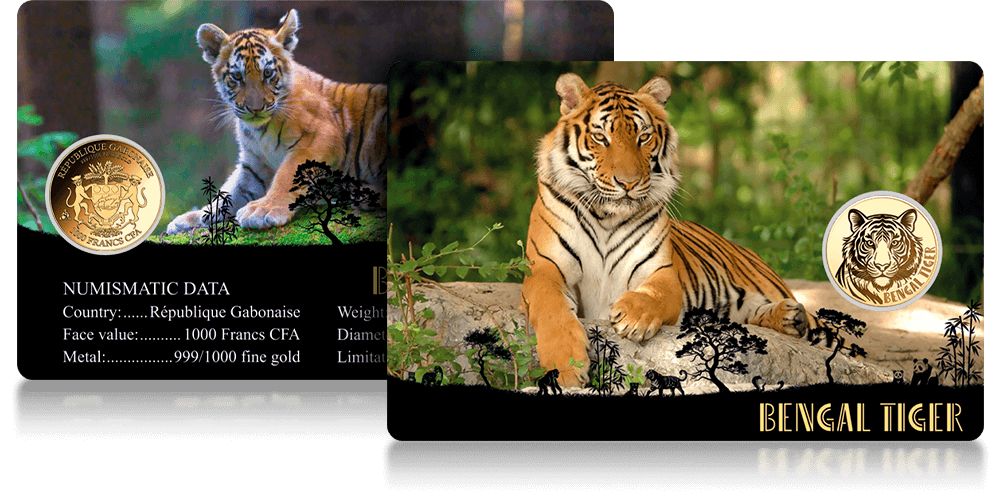 Blister kolekcjonerski ze specyfikacją numizmatu w komplecie.