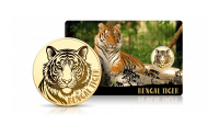 Tygrys bengalski na złotej monecie.