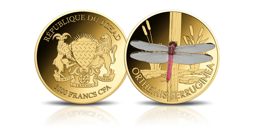 Orthemis ferruginea na złotej monecie.