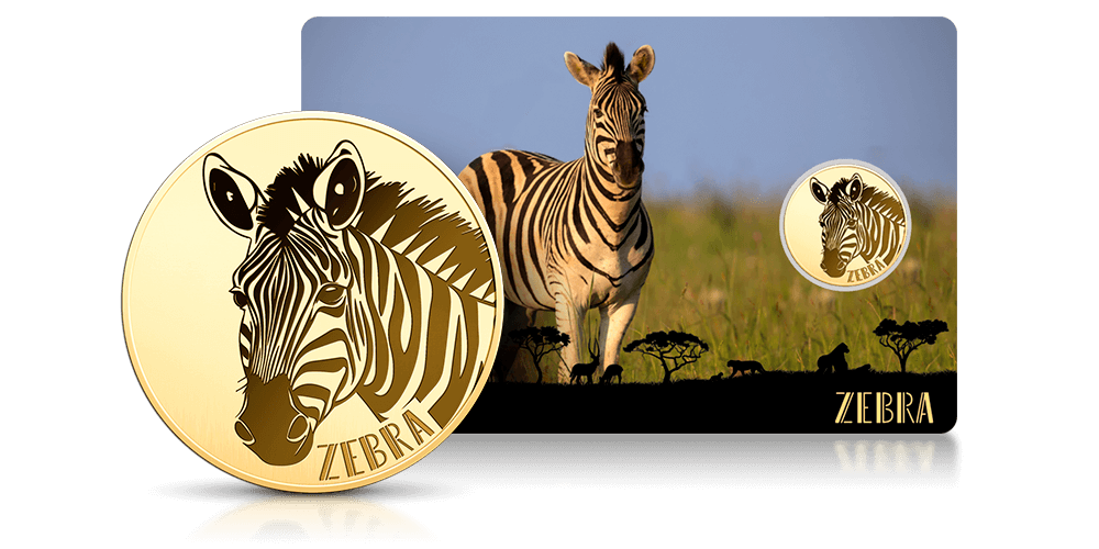  Zebra na złotej monecie.