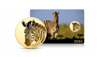 Zebra na złotej monecie.