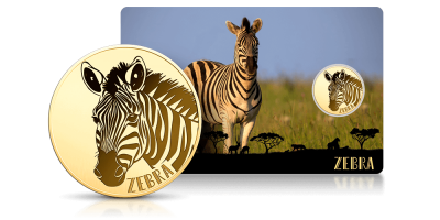 Zebra - moneta wykonana z czystego złota 